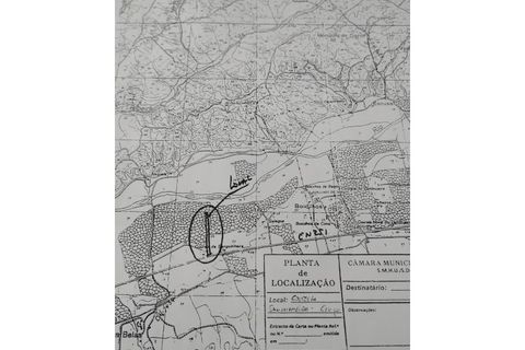 Terra a Couco, Santarem, Couco - € 127.500 | Ref: IMOPP-00096 - foto 25