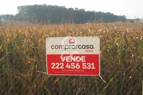 Helårsgrund i Maia, Porto, Maia - € 500.000 | Ref: 372/T/00171 - foto 2