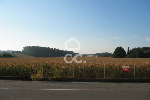 Helårsgrund i Maia, Porto, Maia - € 500.000 | Ref: 372/T/00171 - foto 1