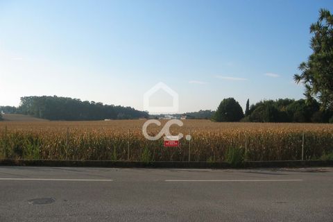 Helårsgrund i Maia, Porto, Maia - € 500.000 | Ref: 372/T/00171 - foto 5