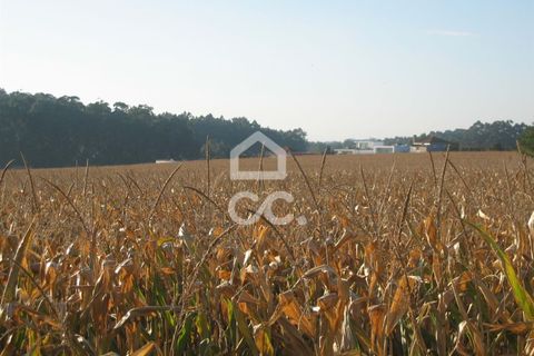 Helårsgrund i Maia, Porto, Maia - € 500.000 | Ref: 372/T/00171 - foto 8