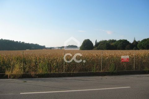 Helårsgrund i Maia, Porto, Maia - € 500.000 | Ref: 372/T/00171 - foto 11
