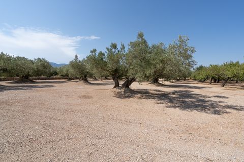 Farm hus i Roquetes, Tarragona, Roquetes - € 145.000 | Ref: 728 - foto 8