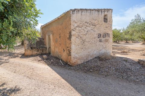 Farm hus i Roquetes, Tarragona, Roquetes - € 145.000 | Ref: 728 - foto 3