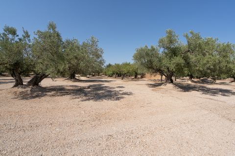 Farm hus i Roquetes, Tarragona, Roquetes - € 145.000 | Ref: 728 - foto 9