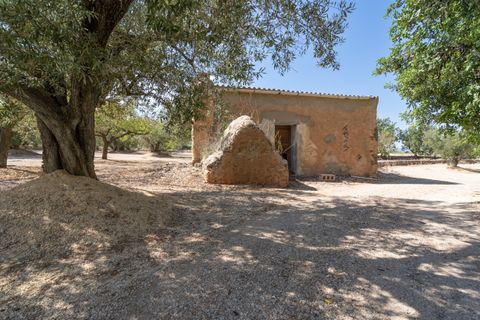 Farm hus i Roquetes, Tarragona, Roquetes - € 145.000 | Ref: 728 - foto 2