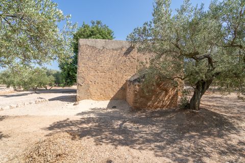 Farm hus i Roquetes, Tarragona, Roquetes - € 145.000 | Ref: 728 - foto 4