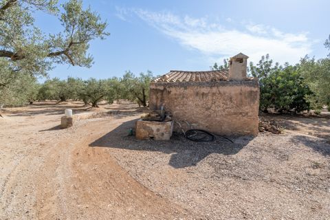 Finca i Roquetes, Tarragona, Roquetes - € 70.000 | Ref: 729 - foto 4