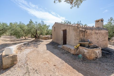 Finca i Roquetes, Tarragona, Roquetes - € 70.000 | Ref: 729 - foto 2