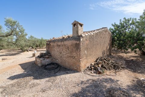 Finca i Roquetes, Tarragona, Roquetes - € 70.000 | Ref: 729 - foto 3