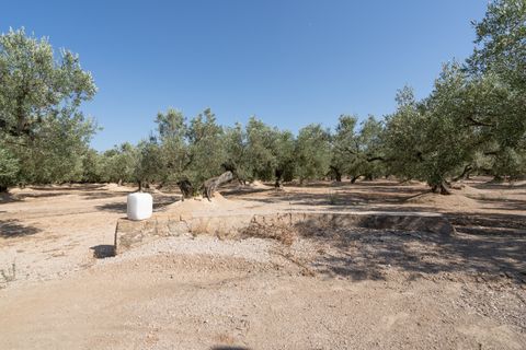 Finca i Roquetes, Tarragona, Roquetes - € 70.000 | Ref: 729 - foto 8
