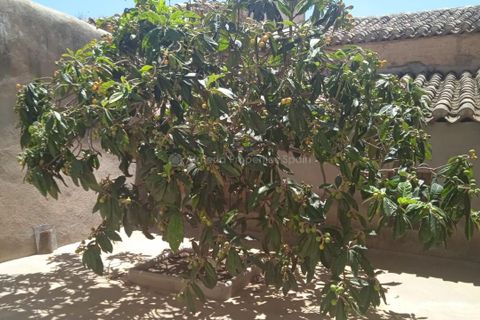 Landejendom i Oria, Almeria, Oria - € 140.000 | Ref: APS 1874 - foto 15
