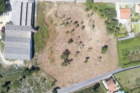 Helårsgrund i Arcozelo, Porto, Arcozelo - € 700.000 | Ref: ZMPT551612 - foto 3