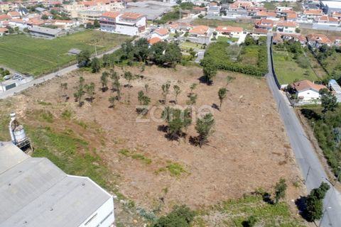 Helårsgrund i Arcozelo, Porto, Arcozelo - € 700.000 | Ref: ZMPT551612 - foto 5