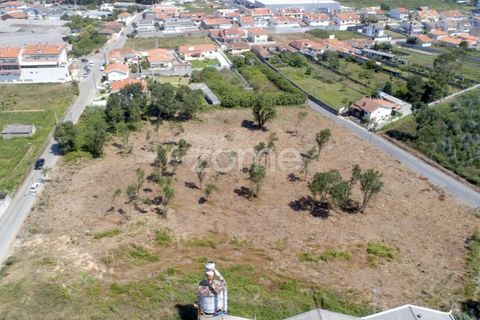 Helårsgrund i Arcozelo, Porto, Arcozelo - € 700.000 | Ref: ZMPT551612 - foto 6
