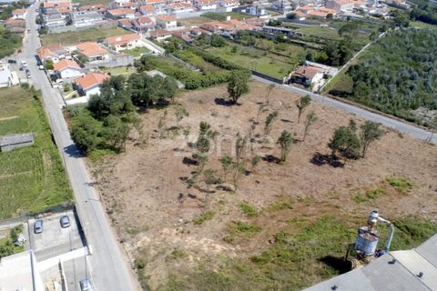 Helårsgrund i Arcozelo, Porto, Arcozelo - € 700.000 | Ref: ZMPT551612 - foto 7
