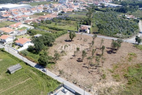Helårsgrund i Arcozelo, Porto, Arcozelo - € 700.000 | Ref: ZMPT551612 - foto 9