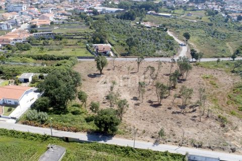 Helårsgrund i Arcozelo, Porto, Arcozelo - € 700.000 | Ref: ZMPT551612 - foto 11