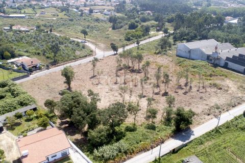 Helårsgrund i Arcozelo, Porto, Arcozelo - € 700.000 | Ref: ZMPT551612 - foto 12