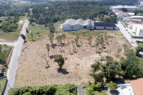 Helårsgrund i Arcozelo, Porto, Arcozelo - € 700.000 | Ref: ZMPT551612 - foto 14