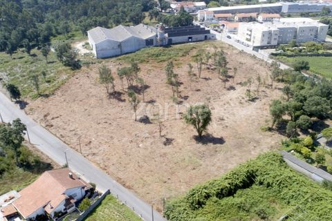 Helårsgrund i Arcozelo, Porto, Arcozelo - € 700.000 | Ref: ZMPT551612 - foto 15