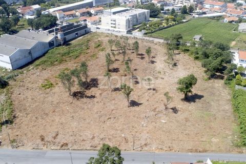 Helårsgrund i Arcozelo, Porto, Arcozelo - € 700.000 | Ref: ZMPT551612 - foto 16