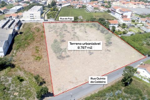 Helårsgrund i Arcozelo, Porto, Arcozelo - € 700.000 | Ref: ZMPT551612 - foto 2