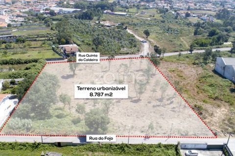 Helårsgrund i Arcozelo, Porto, Arcozelo - € 700.000 | Ref: ZMPT551612 - foto 13