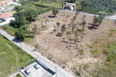Helårsgrund i Arcozelo, Porto, Arcozelo - € 700.000 | Ref: ZMPT551612 - foto 10