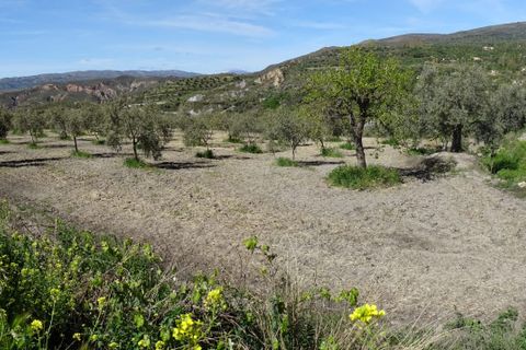 Terra a Valor, Granada, Valor - € 32.000 | Ref: VC463 - foto 2