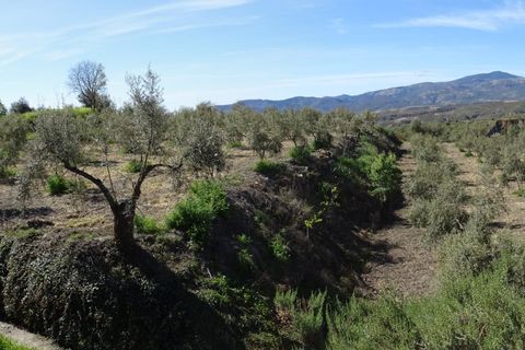 Terra a Valor, Granada, Valor - € 32.000 | Ref: VC463 - foto 3