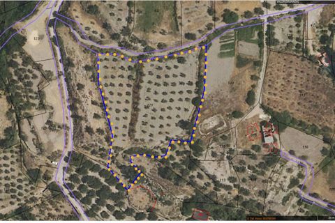 Terra a Valor, Granada, Valor - € 32.000 | Ref: VC463 - foto 4