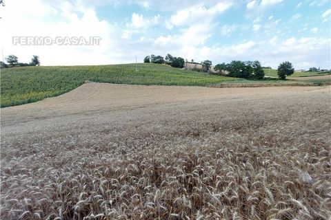 Terra a Montottone, Fermo, Montottone - € 80.000 | Ref: Mtt002 - foto 2