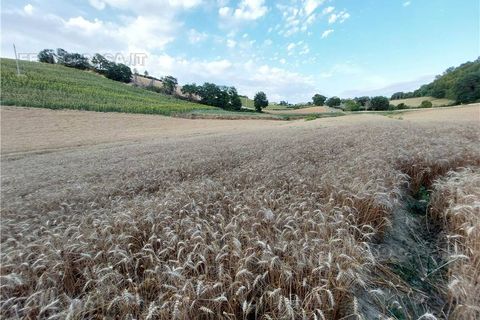 Terra a Montottone, Fermo, Montottone - € 80.000 | Ref: Mtt002 - foto 3