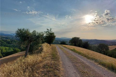 Terra a Montottone, Fermo, Montottone - € 80.000 | Ref: Mtt002 - foto 6
