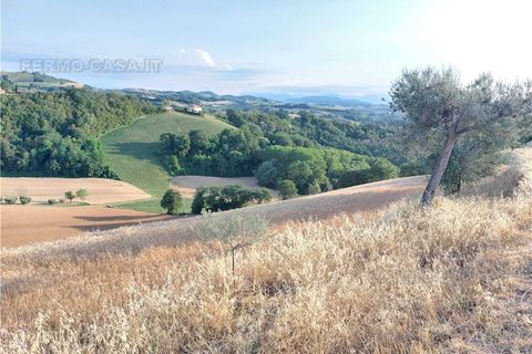 Terra a Montottone, Fermo, Montottone - € 80.000 | Ref: Mtt002 - foto 7