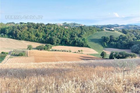 Terra a Montottone, Fermo, Montottone - € 80.000 | Ref: Mtt002 - foto 8