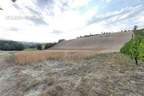 Terra a Montottone, Fermo, Montottone - € 80.000 | Ref: Mtt002 - foto 9