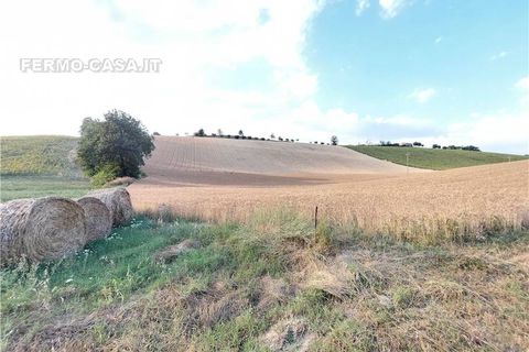 Terra a Montottone, Fermo, Montottone - € 80.000 | Ref: Mtt002 - foto 10