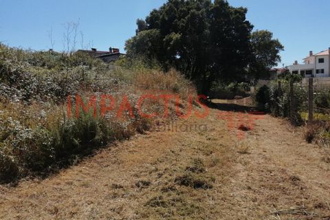 Helårsgrund i Trofa, Porto, Trofa - € 385.000 | Ref: DCRT1325 - foto 1