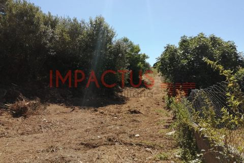 Helårsgrund i Trofa, Porto, Trofa - € 385.000 | Ref: DCRT1325 - foto 3