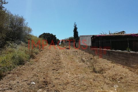 Helårsgrund i Trofa, Porto, Trofa - € 385.000 | Ref: DCRT1325 - foto 4