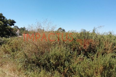 Helårsgrund i Trofa, Porto, Trofa - € 385.000 | Ref: DCRT1325 - foto 7