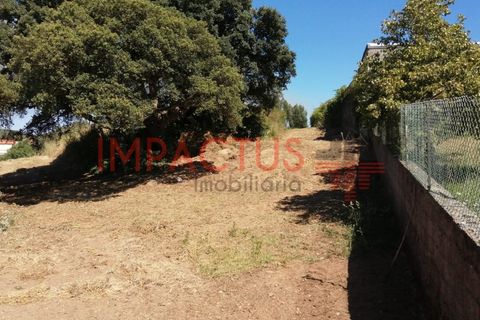 Helårsgrund i Trofa, Porto, Trofa - € 385.000 | Ref: DCRT1325 - foto 8