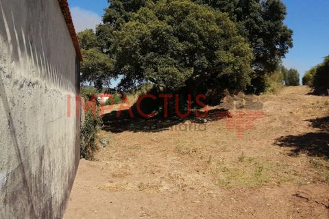 Helårsgrund i Trofa, Porto, Trofa - € 385.000 | Ref: DCRT1325 - foto 9
