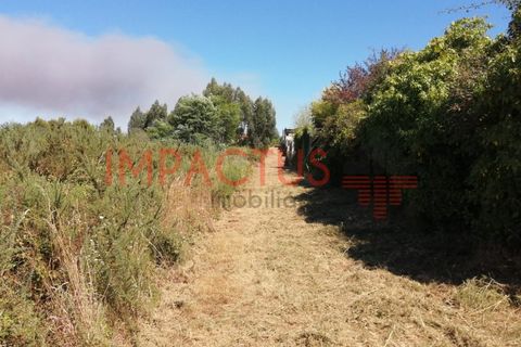 Helårsgrund i Trofa, Porto, Trofa - € 385.000 | Ref: DCRT1325 - foto 12