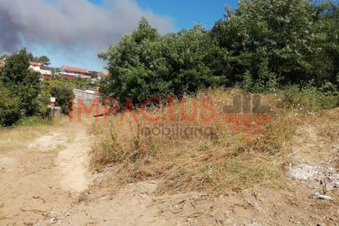 Helårsgrund i Trofa, Porto, Trofa - € 385.000 | Ref: DCRT1325 - foto 14