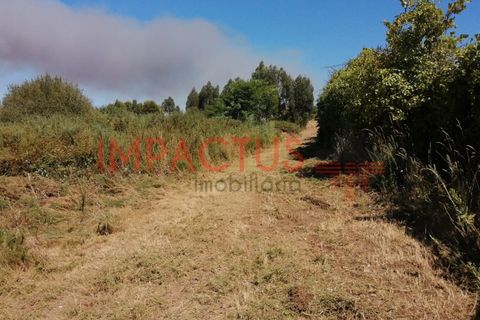 Helårsgrund i Trofa, Porto, Trofa - € 385.000 | Ref: DCRT1325 - foto 15