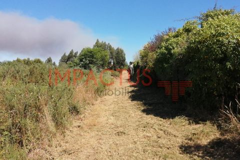 Helårsgrund i Trofa, Porto, Trofa - € 385.000 | Ref: DCRT1325 - foto 16