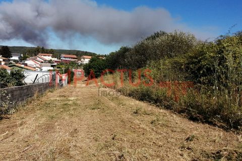 Helårsgrund i Trofa, Porto, Trofa - € 385.000 | Ref: DCRT1325 - foto 18